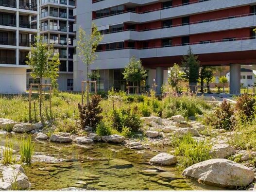 Biodiversität in der Senevita Birsgarten erleben