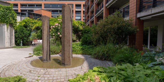 Betreutes Wohnen und Pflege | Bornblick Olten