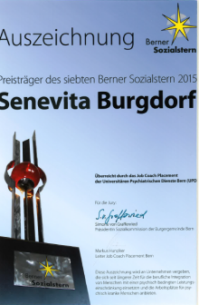 Berner Sozialstern