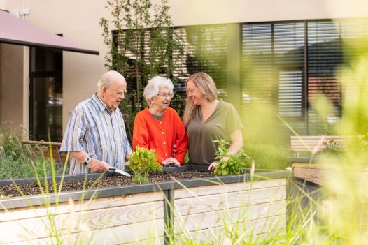 🌱 Frische Kräuter aus unserem eigenen Garten! 🌿
