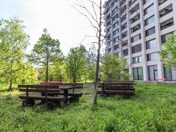 Picnic-Tische draussen