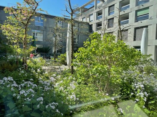 Ein kleines Paradies für unsere Pensionäre