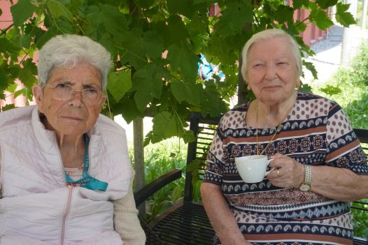 Zvieri in der Weinlaube