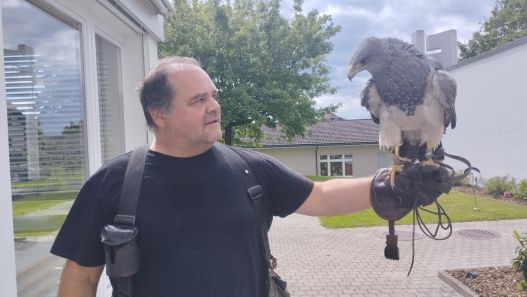 Die trainierten Greifvögel zeigten im Garten der Senevita Am Maiegrüen ihre Künst