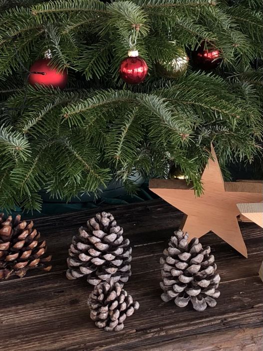 Advent