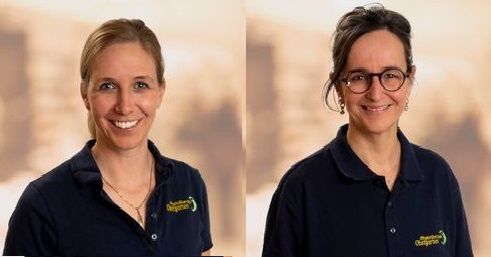 Physiotherapie-Team