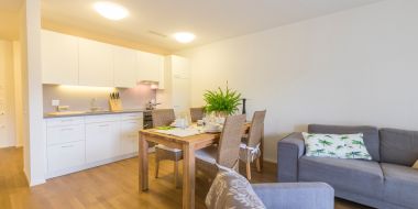 Wohnzimmer mit Küche