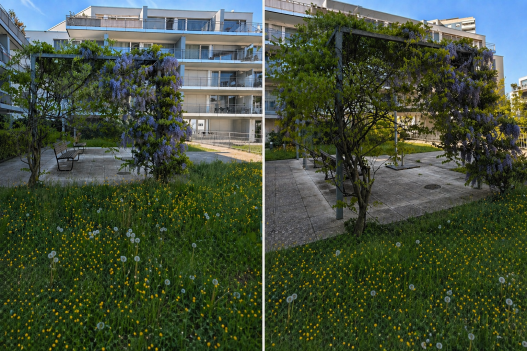 Oase der Erholung in unserem Innenhof