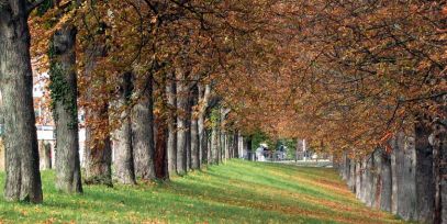 Palliative Begleitung